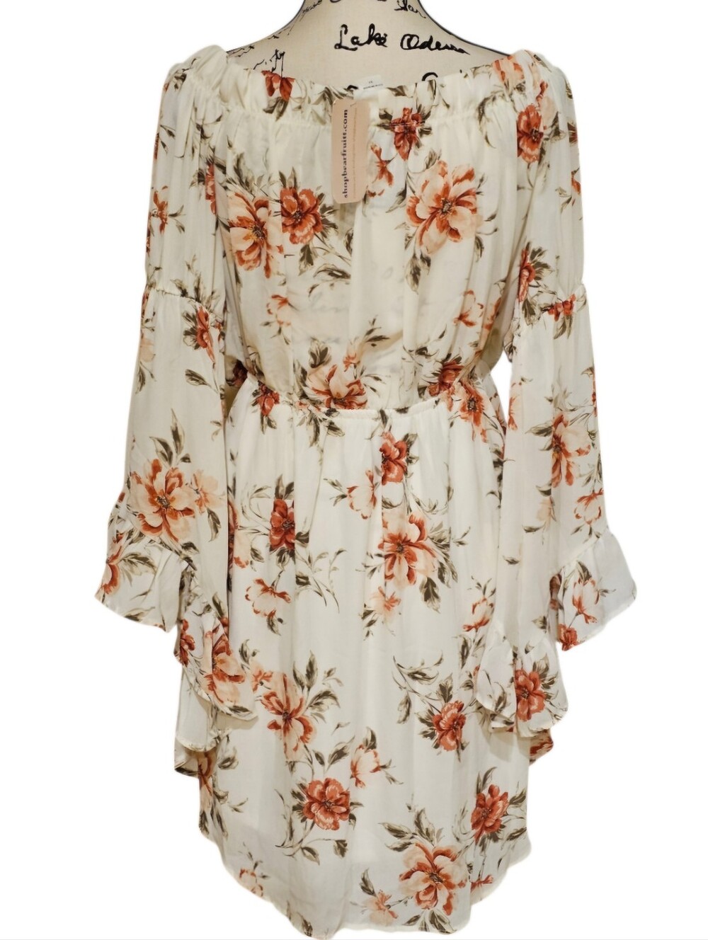 Bear Fruitt Off-Shoulder Floral Mini Dress in Cream with Rust Floral Print - Picture 6 of 7